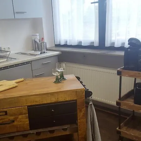 Vintage-appartement Zum Wohlfuhlen 公寓
